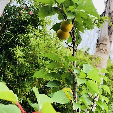 Couette-café Valentino