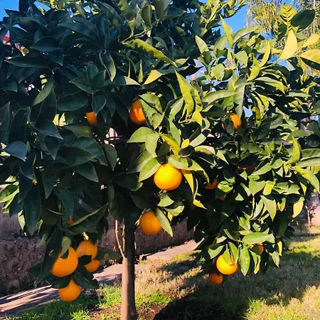 Valentino 住宿加早餐酒店 贾迪尼-纳克索斯