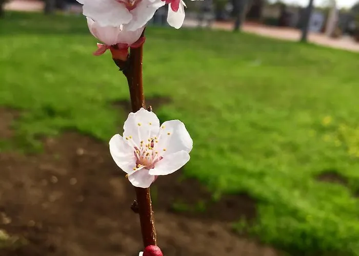 Valentino ベッド・アンド・ブレックファスト