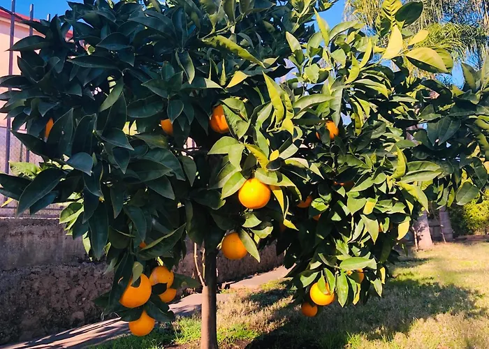 Valentino ベッド・アンド・ブレックファスト ジャルディーニ・ナクソス